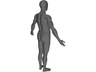 Full Human Anatomy for Simulation 3D Model