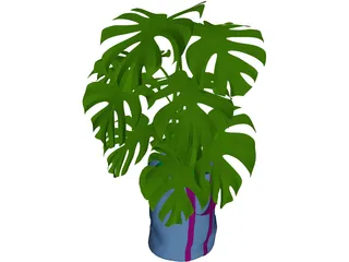 Monstera Deliciosa 3D Model