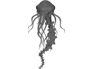 Jelly Fish 3D Model