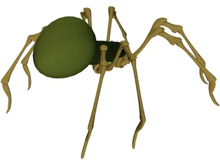 Spider 3D Model