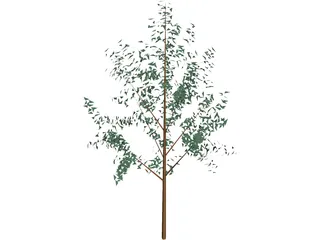 Tree 3D Model