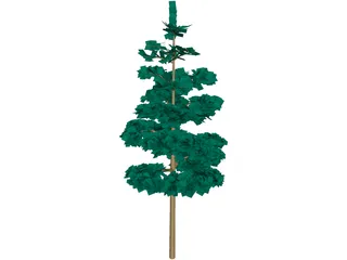 Redwood Tree 3D Model