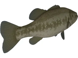 Florida Largemouth Bass 3D Model