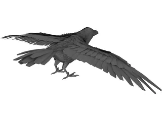 Raven 3D Model