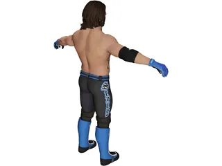 Aj Styles Fighter 3D Model