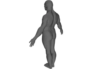 Male Human Figure 3D Model