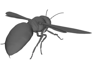 Hornet 3D Model