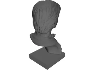 Han Solo Bust 3D Model