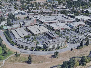 Redmond City, WA, USA (2019) 3D Model
