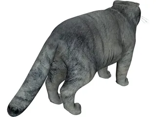 Pallas Cat 3D Model