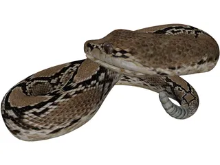 Rattlesnake 3D Model