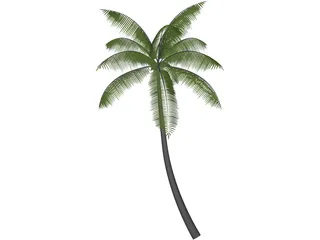 Palm 3D Model