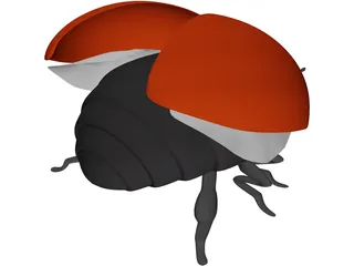 Bug Female 3D Model