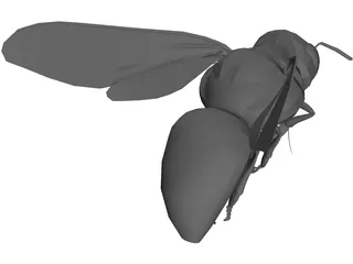 Bee 3D Model