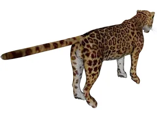 Jaguar 3D Model