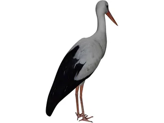 White Stork 3D Model