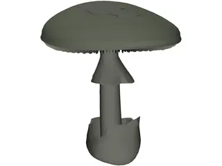 Amanita Phalloides: Death Cap Mushroom 3D Model