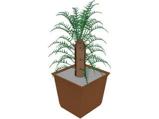 Cica Palm Tree with Sisal Vase 3D Model