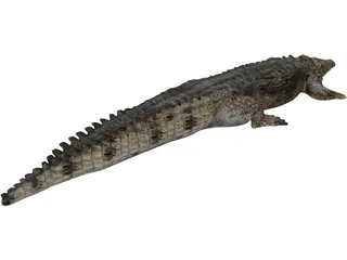 Crocodile 3D Model