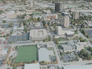 Springfield City, MO, USA (2020) 3D Model