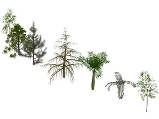 Trees Pack 3D Model