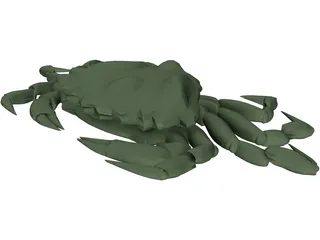 European Green Crab 3D Model