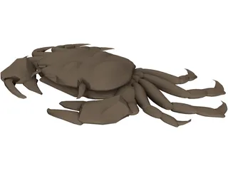 Asian Shore Crab 3D Model