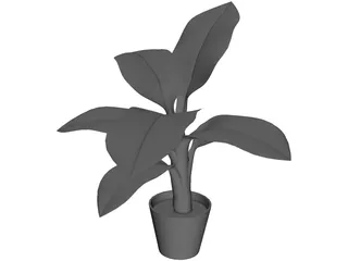 Banana Plant 3D Model