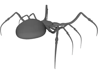 Spider 3D Model