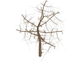 Tree 3D Model