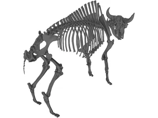 Bull Skeleton 3D Model