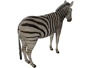 Zebra 3D Model