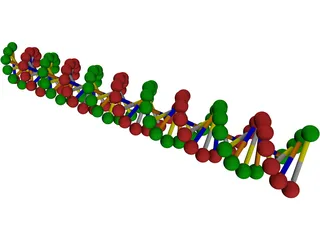 DNA 3D Model