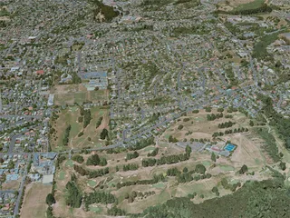 Dunedin City, New Zealand (2021) 3D Model