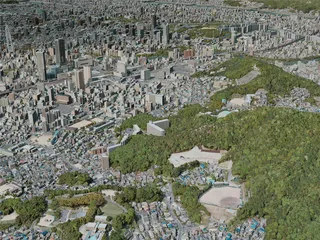 Hiroshima City, Japan (2021) 3D Model