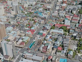 Odawara City, Japan (2021) 3D Model