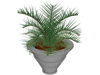 Plant in Vase 3D Model