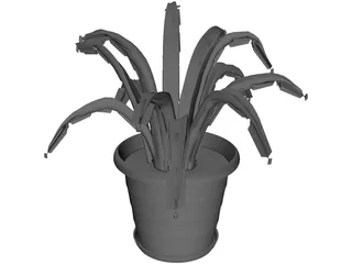 Aloe Plant in a Pot 3D Model