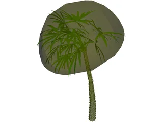 Palm 3D Model