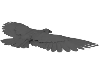 Raven 3D Model