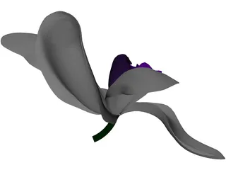 Orchid 3D Model