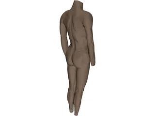 Surface Muscles 3D Model