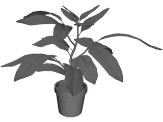 Houseplants 3D Model