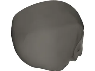 Skull Detailed 3D Model