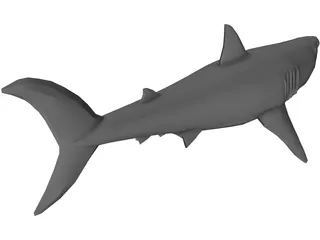 Shark Great White 3D Model