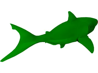 Shark 3D Model