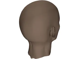 Head Female 3D Model