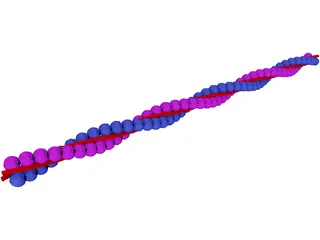 Actin DNA Strand 3D Model