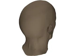 Head Male 3D Model