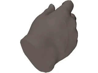 Hand Male 3D Model